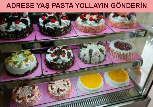 Trabzon Mois Karışık meyveli Yaş pasta  Adrese yaş pasta yolla gönder